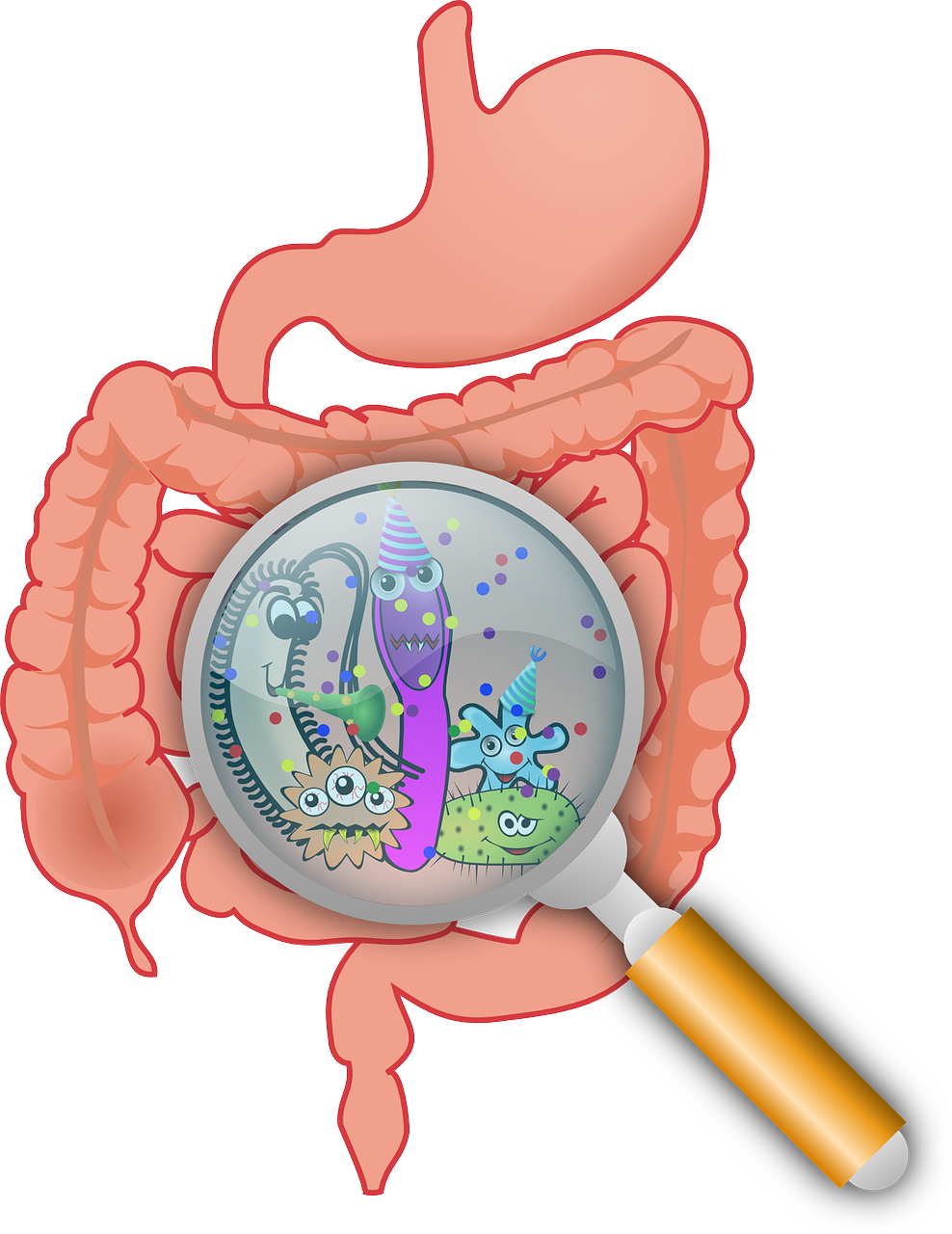 Choosing a Digestive Enzyme Supplement: Enhance Your Digestive Health Naturally.