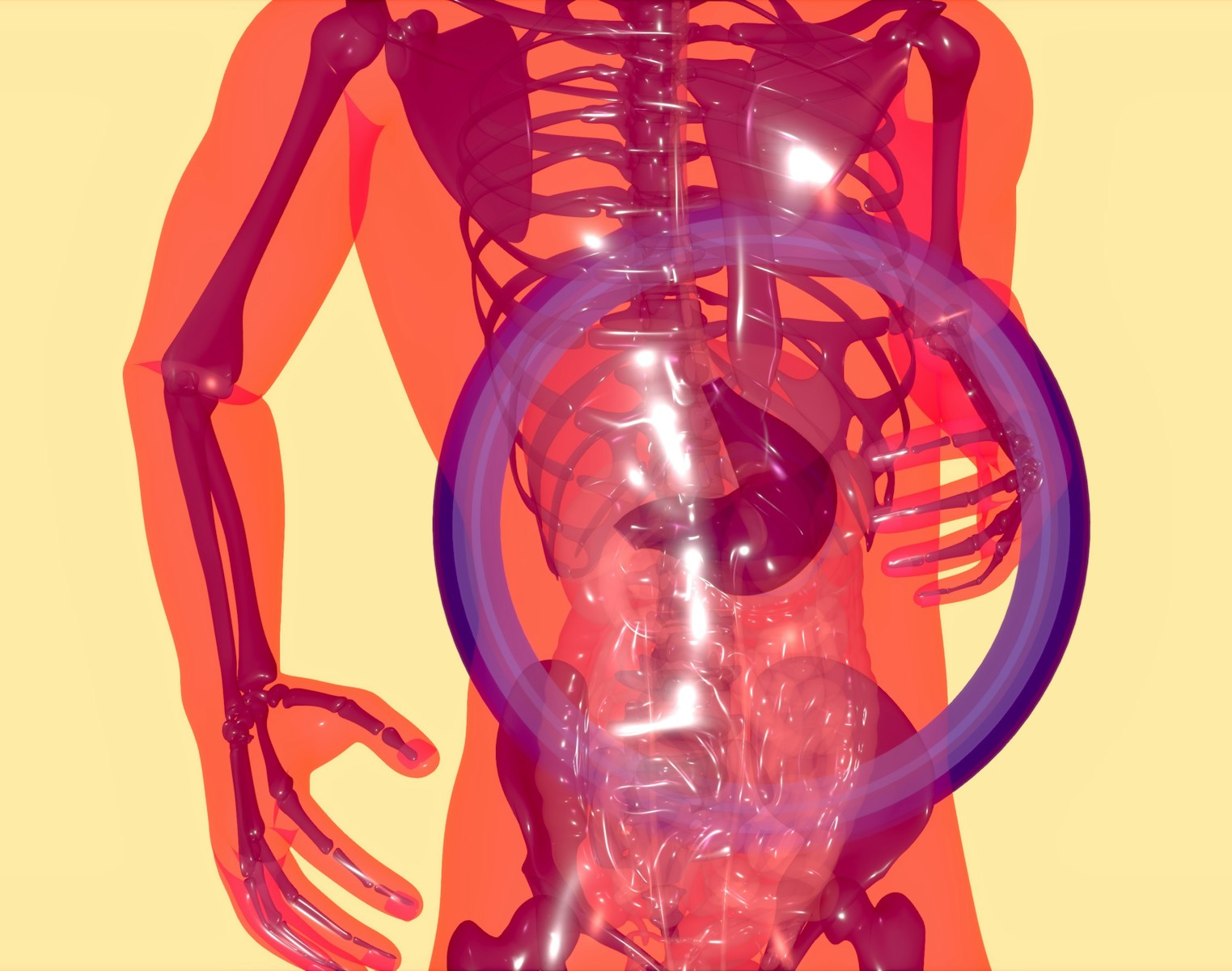 Gut Health Guide: 5 Simple Steps to Improve Digestion, Energy, and Overall Well-Being.