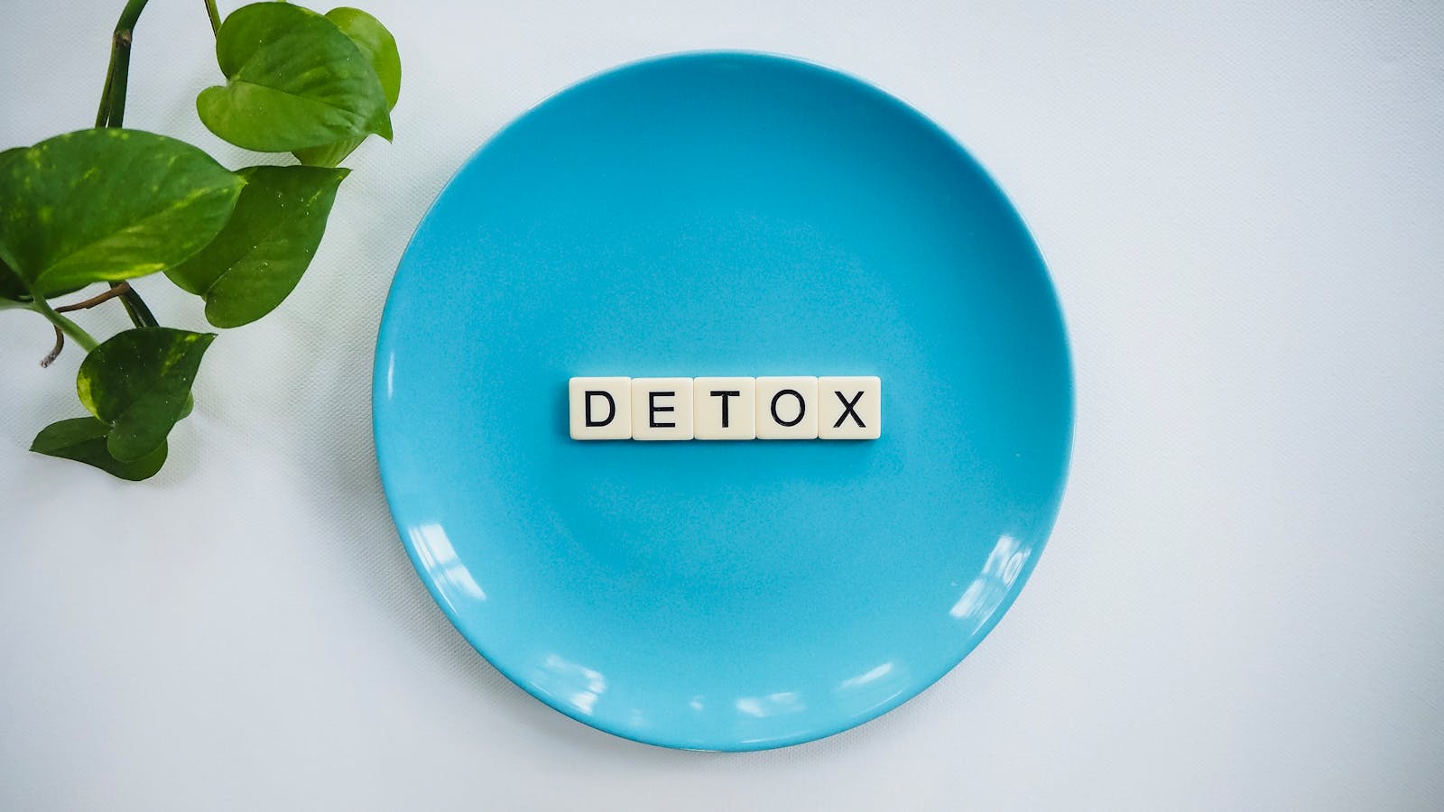 Want Better Digestion? Let’s Talk Colon Cleansing (and Why Bowtrol Might Help)