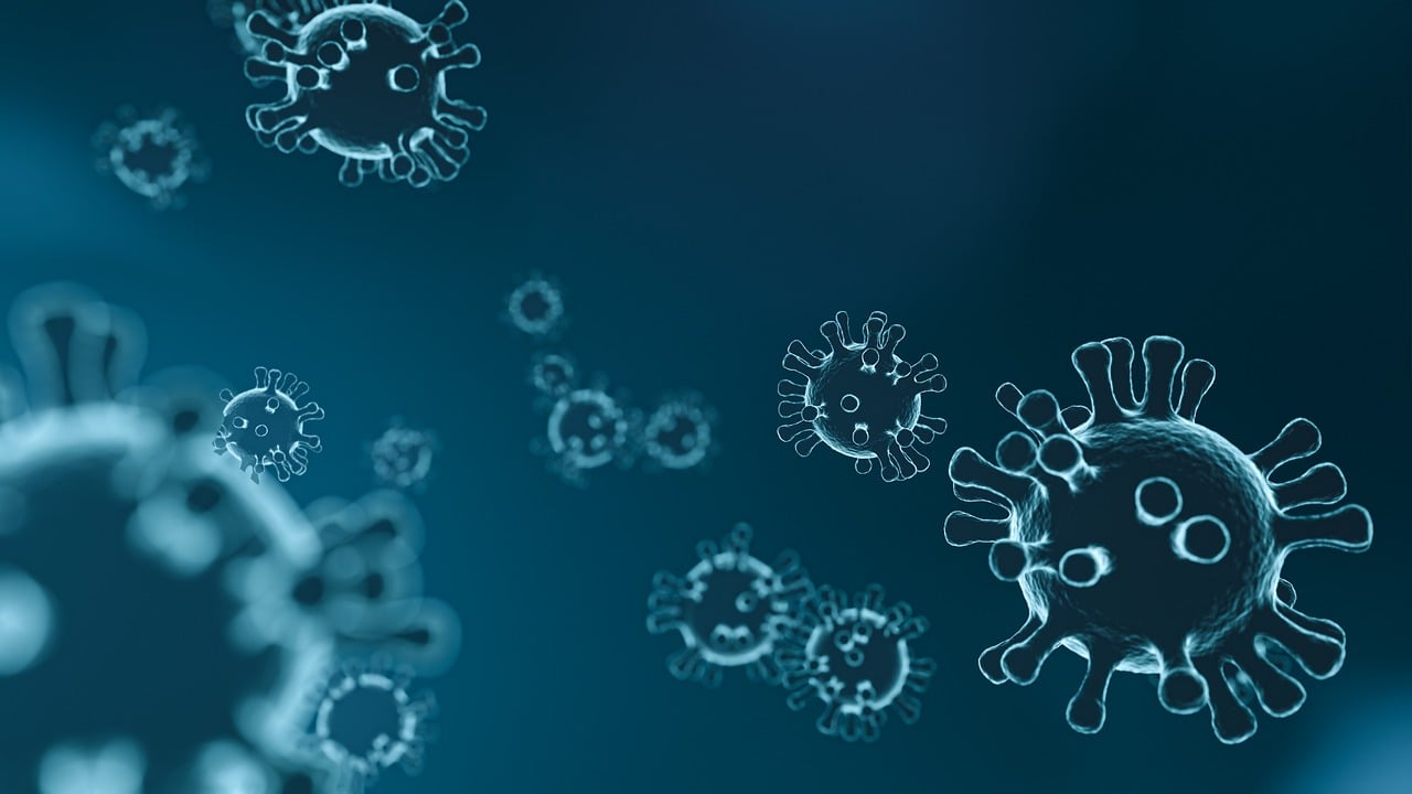 It’s About Time For You To Learn The Best Ways To Boost Your Immune System!