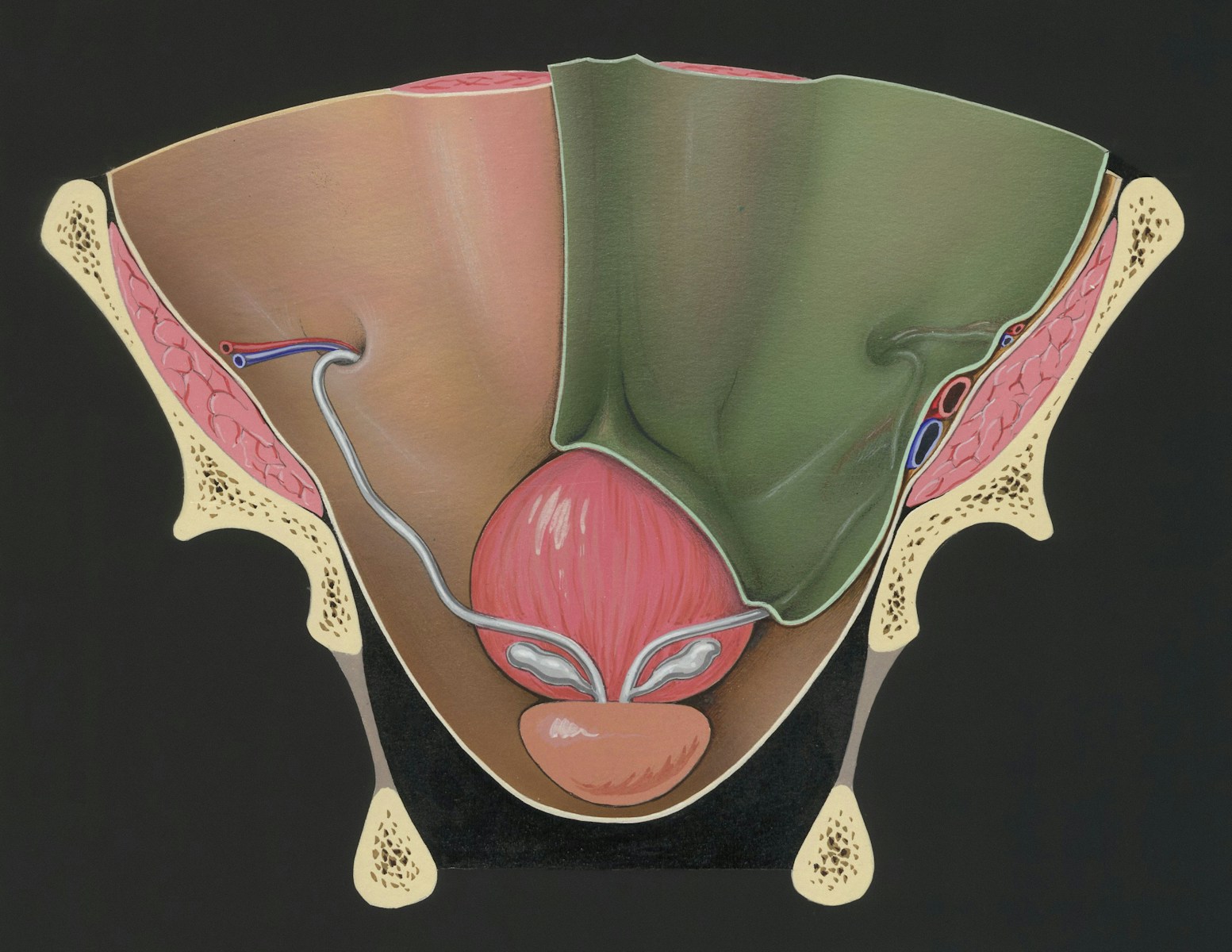 PotentStream: The Natural Solution for Prostate Health.