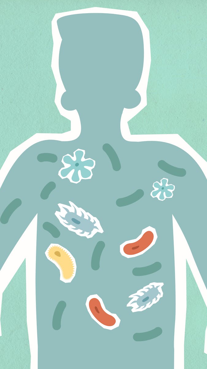 FLOURISH Probiotics: Your Scientific Ally for Urinary and Digestive Health.