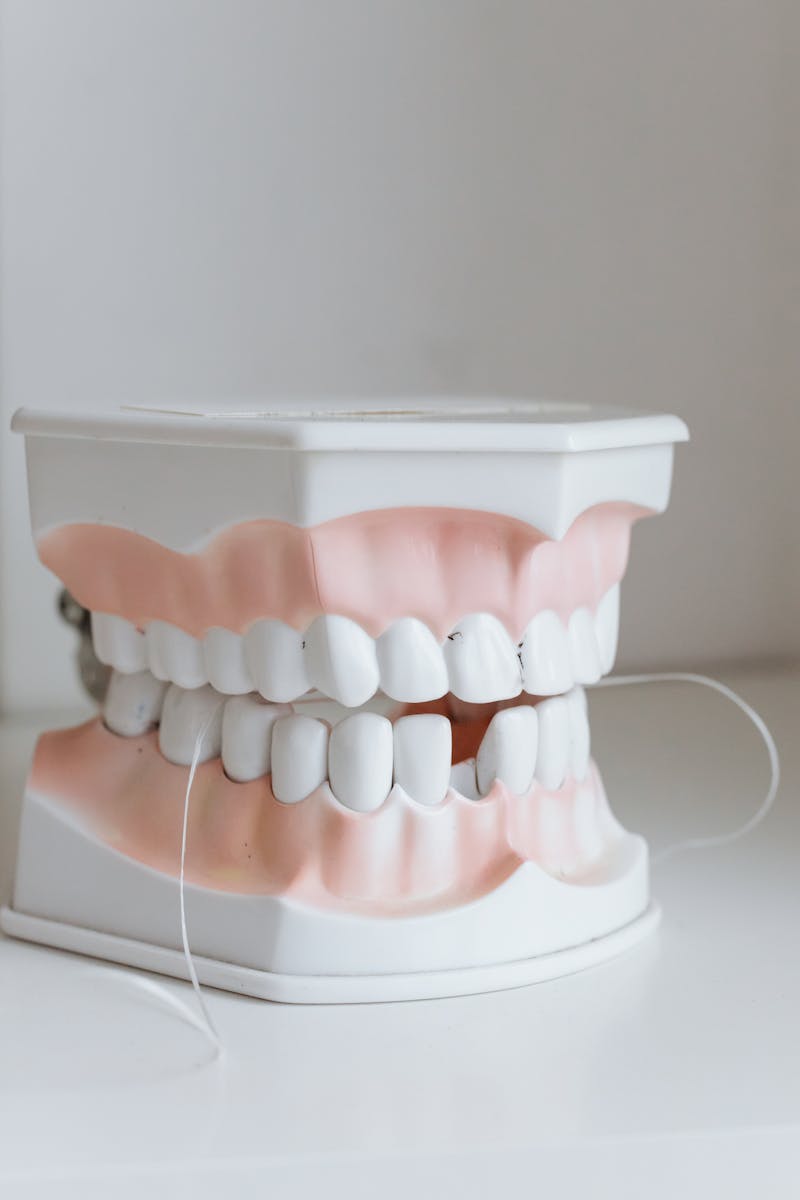 Fresh Breath, Naturally: How Steel Bite Pro Supports Healthy Teeth and Gums.
