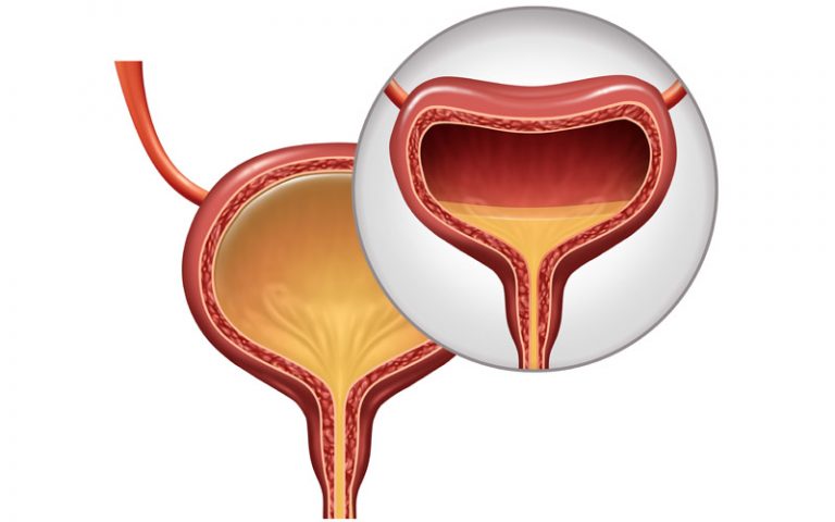 Nature’s Cure for a Happy Bladder: The Power of Pumpkin Seeds and More.