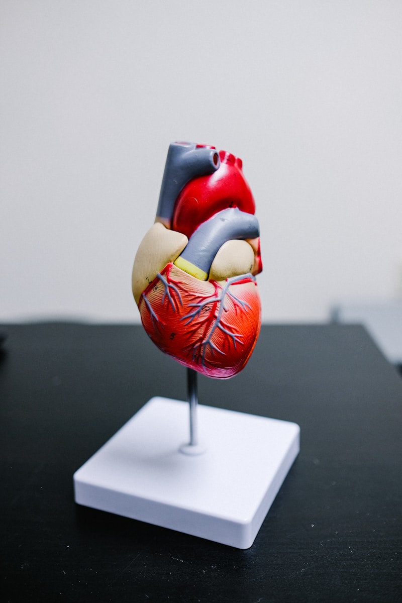 Healthy Heart, Long Life: How to Take Care of Your Heart.