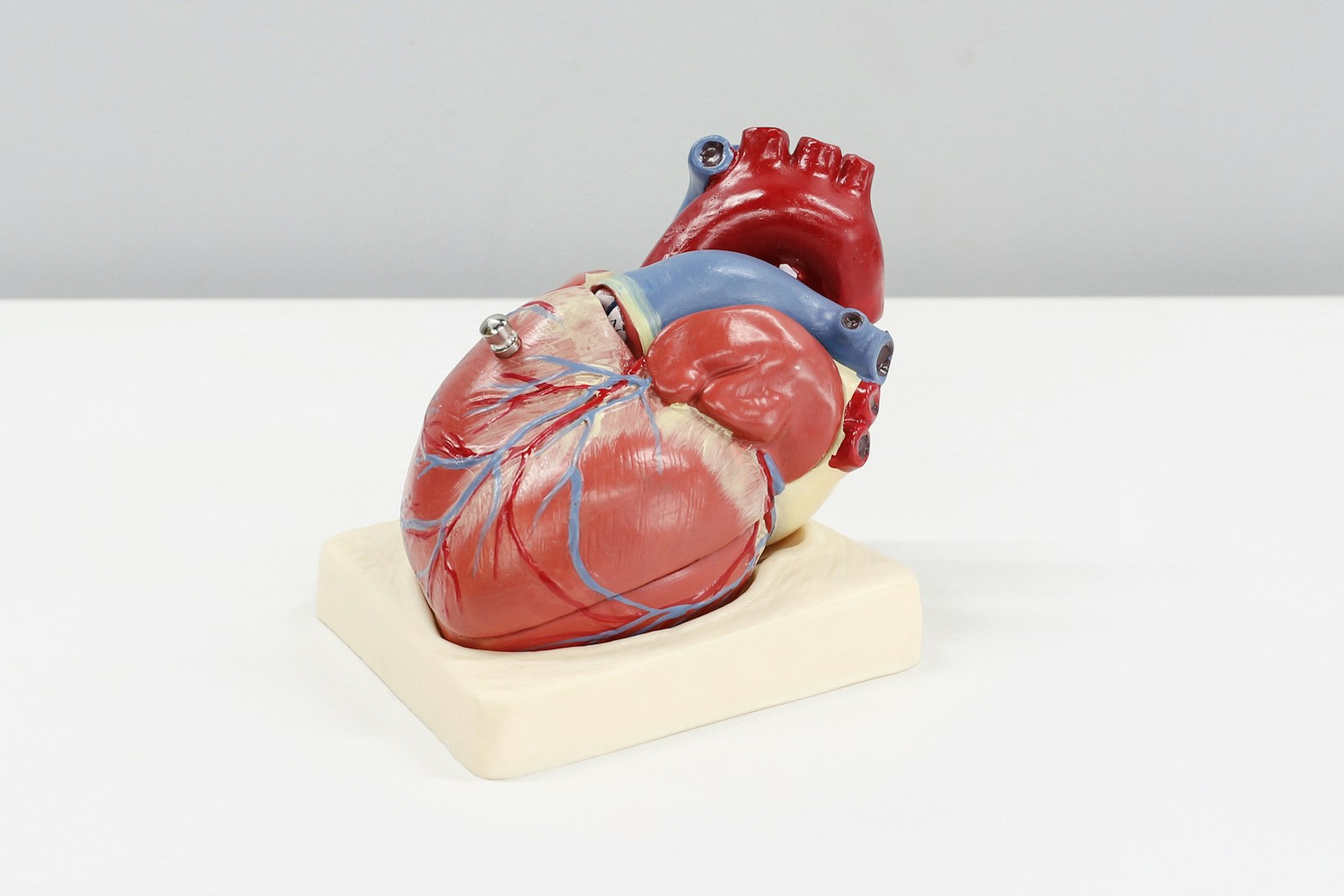 VenoPlus8 Supplement: A Natural Way to Support Cardiovascular Health and Cholesterol Balance.