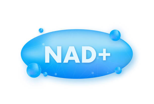 The Benefits of NAD+ and How EnduNAD Supports Youthful Vitality.