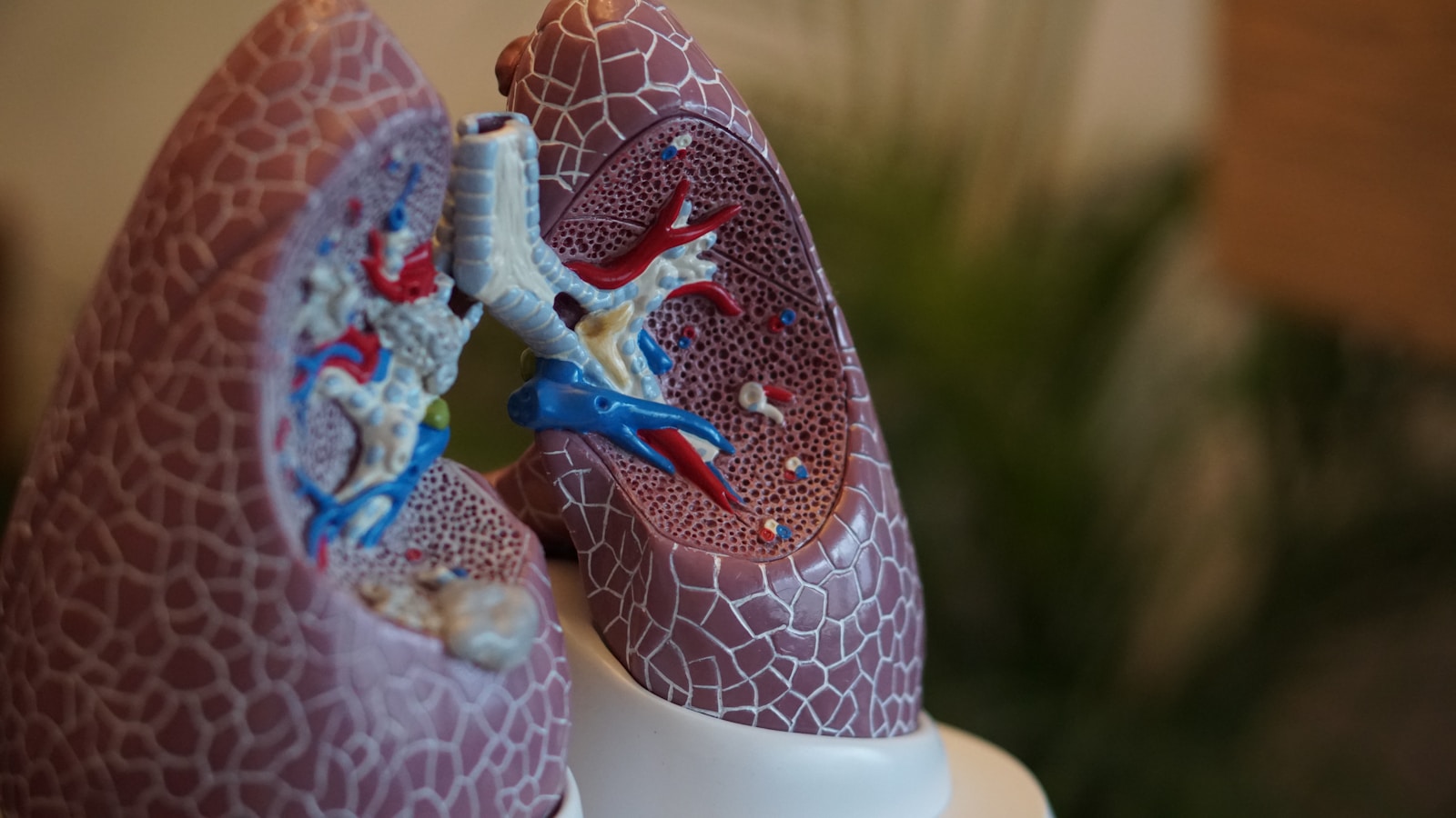 Breathe Easier and Live Fully: Discover the Natural Solution Transforming Respiratory Health in 2025.