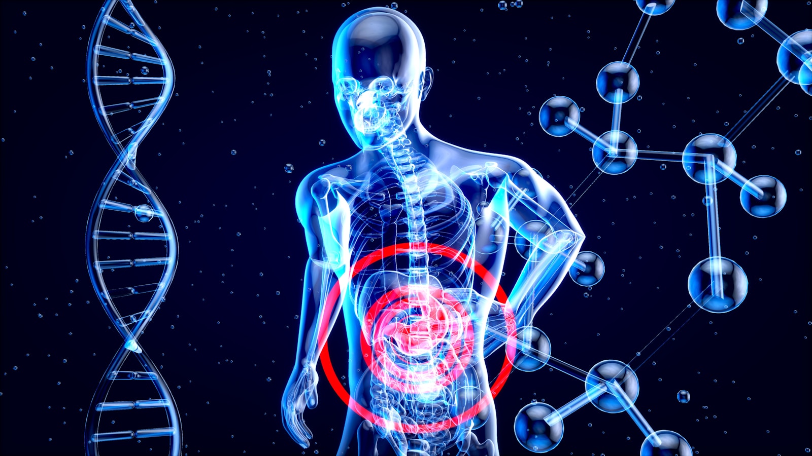 The Ultimate Guide to Transforming Your Gut and Your Life: Say Goodbye to Belly Fat.