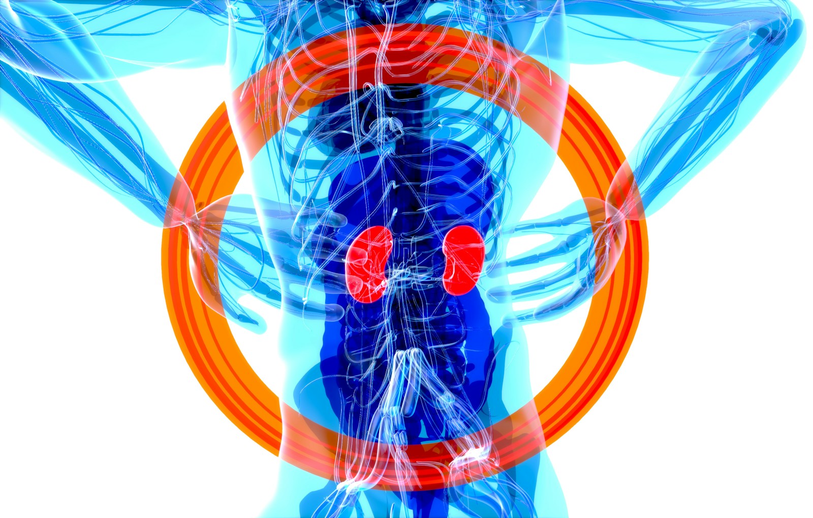 Avoid Kidney Disease: Learn How to Protect Your Kidneys, Spot Early Warning Signs, and Prevent Further Damage with Our eBook.