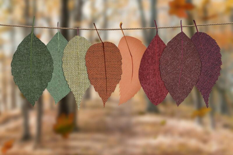 Why Herbs Work Differently Depending on the Season?