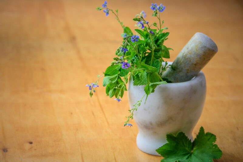 How Adaptogens Help Your Body Adapt: The Biochemistry Explained.