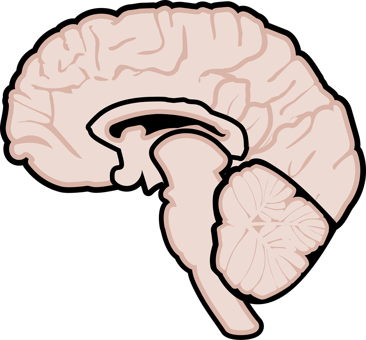 graphic, human brain, brain, brain diagram, neurology, medicine, mri, multiple sclerosis, ms, graphics, mind, human, knowledge, thinking, intelligence, human brain, brain, brain, brain, brain, brain, brain diagram, brain diagram, brain diagram, neurology, mri, mri, mri, multiple sclerosis, multiple sclerosis, multiple sclerosis, multiple sclerosis