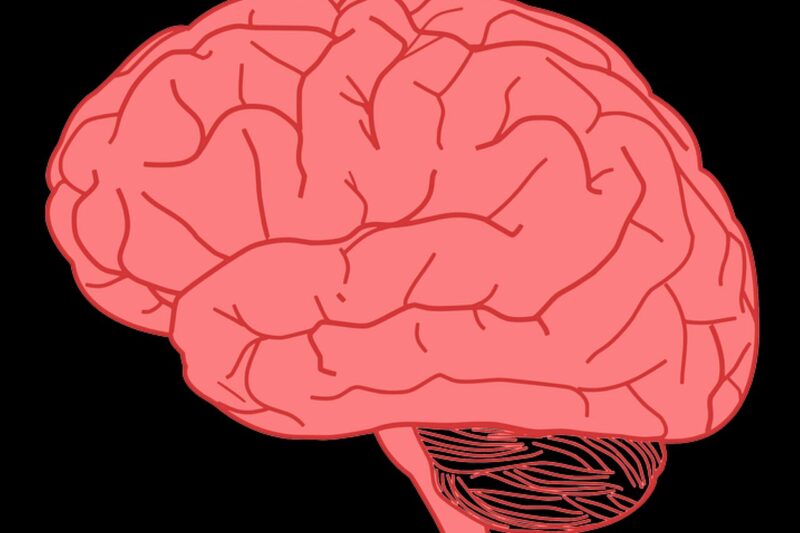 Support Mental Clarity, Coordination, and Mobility – Discover The Parkinson’s Protocol.