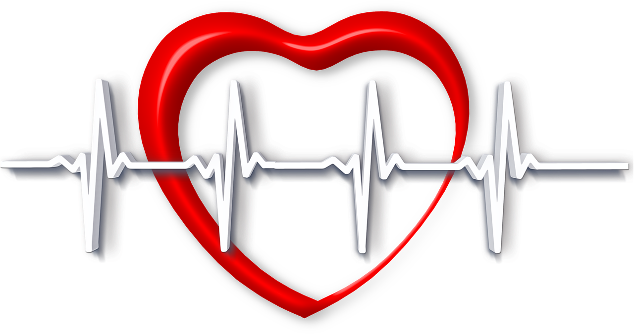 heart, health, pulse, heart rate, protection, care, examination, medicine, doctor, heart rate, doctor, doctor, doctor, doctor, doctor