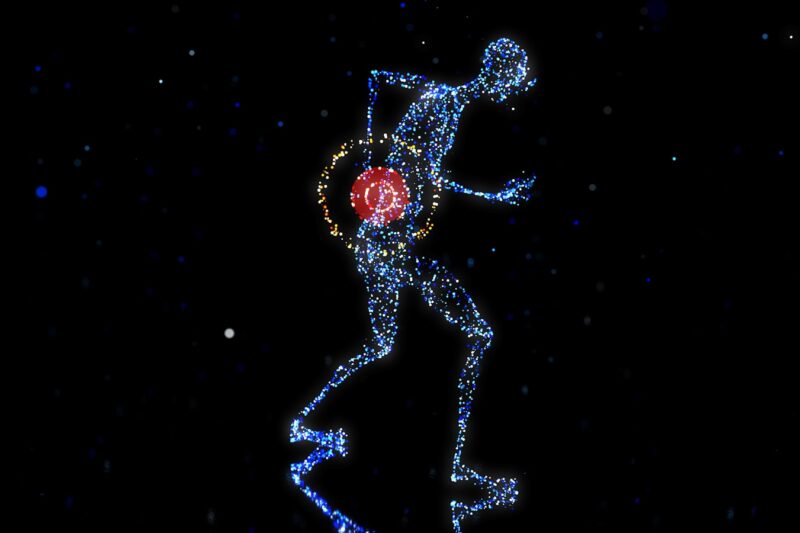 Back Pain SOS, A 15-Minute Mobility System for Daily Relief.