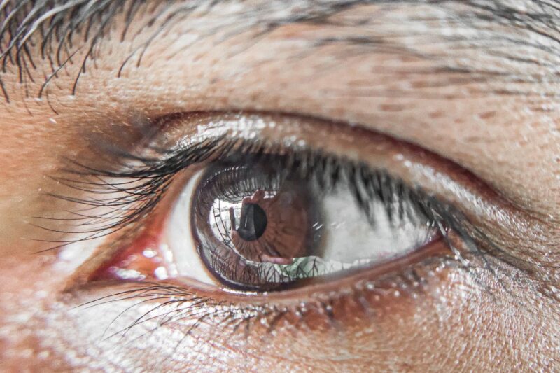 The Three Macular Carotenoids: What the Research Actually Shows