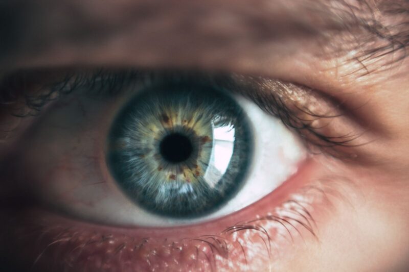 The Nutrients That Actually Support Your Eyes
